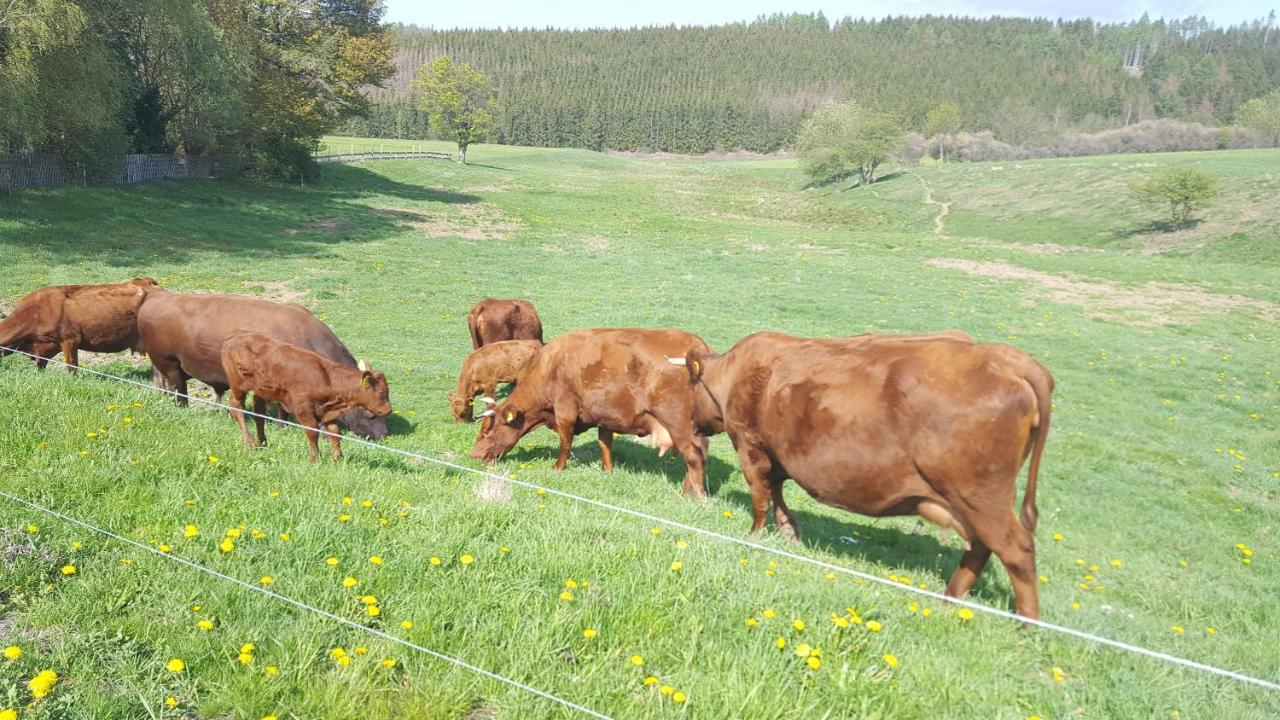 Ferienhaus Harzer Bauernhof Thale Luaran gambar