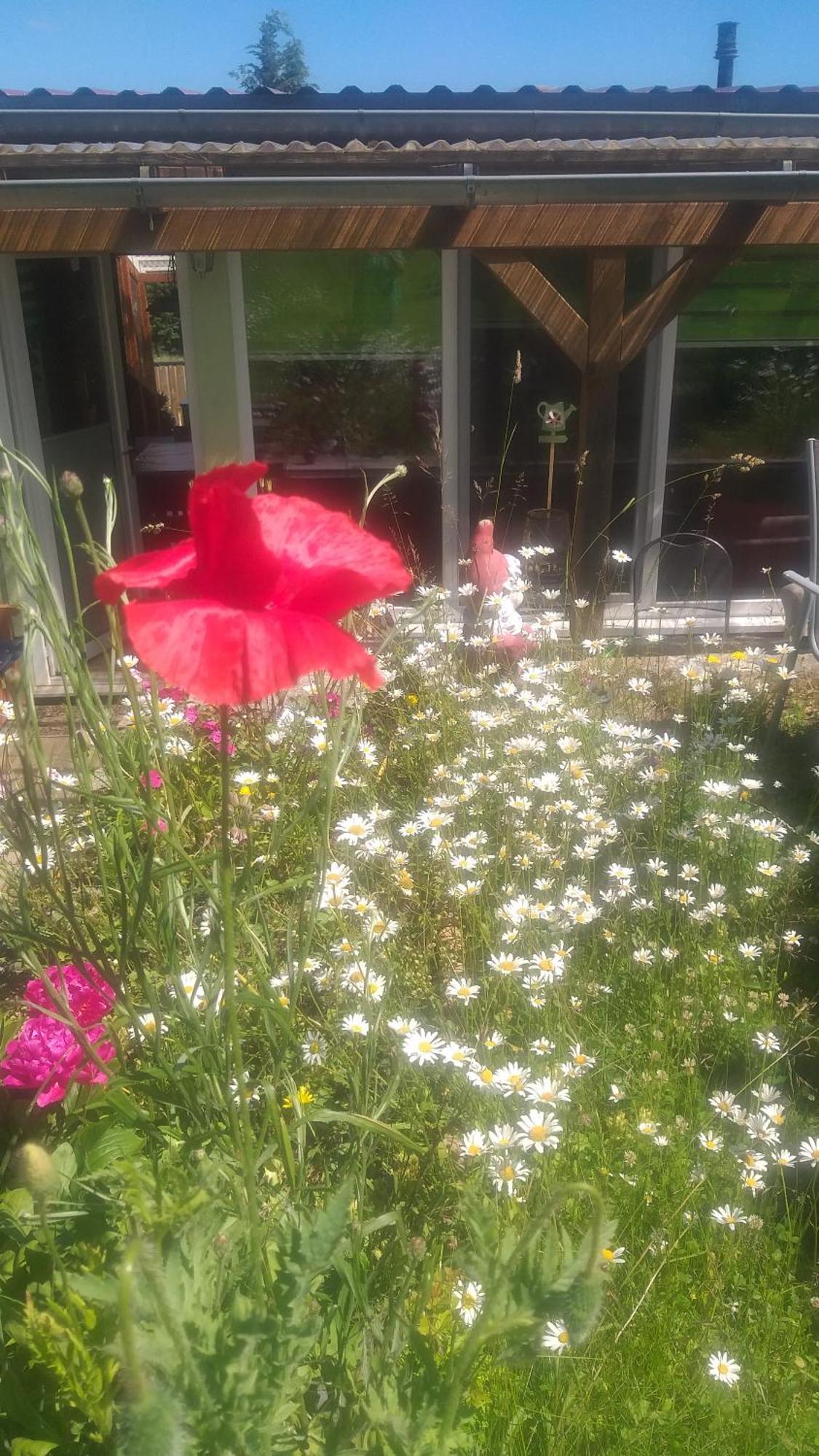 Ferienhaus Harzer Bauernhof Thale Luaran gambar